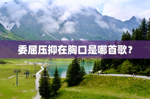委屈压抑在胸口是哪首歌？