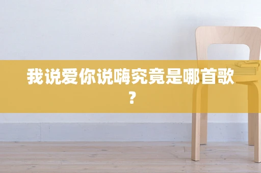 我说爱你说嗨究竟是哪首歌？