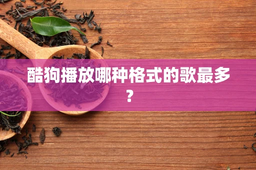 酷狗播放哪种格式的歌最多？