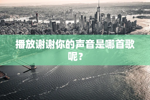 播放谢谢你的声音是哪首歌呢？