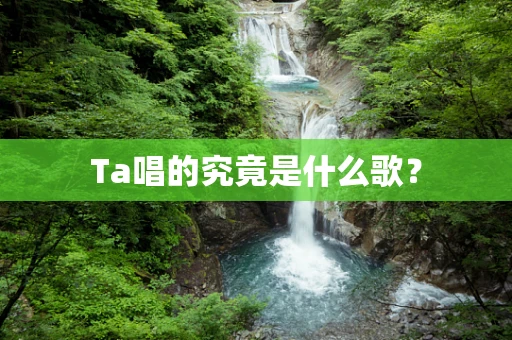 Ta唱的究竟是什么歌？