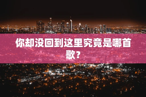 你却没回到这里究竟是哪首歌？