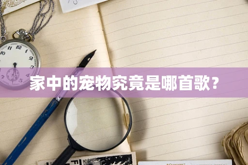 家中的宠物究竟是哪首歌？