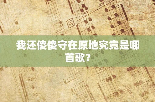 我还傻傻守在原地究竟是哪首歌？