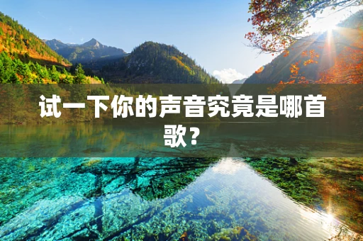 试一下你的声音究竟是哪首歌？