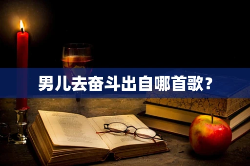 男儿去奋斗出自哪首歌？