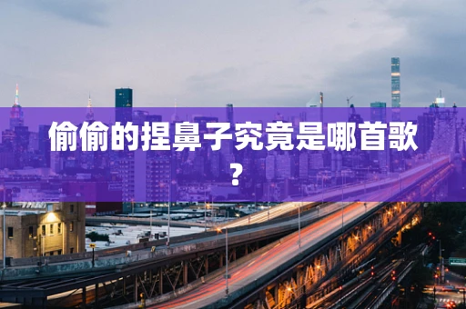 偷偷的捏鼻子究竟是哪首歌？