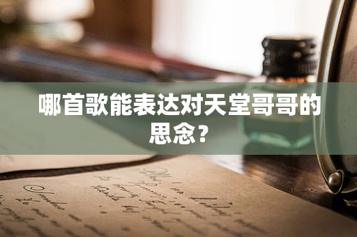 哪首歌能表达对天堂哥哥的思念？