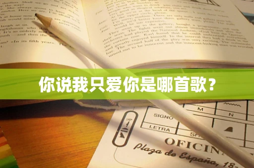 你说我只爱你是哪首歌？