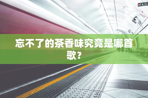 忘不了的茶香味究竟是哪首歌？