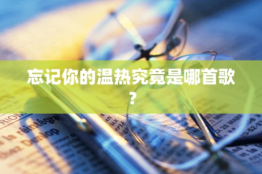 忘记你的温热究竟是哪首歌？