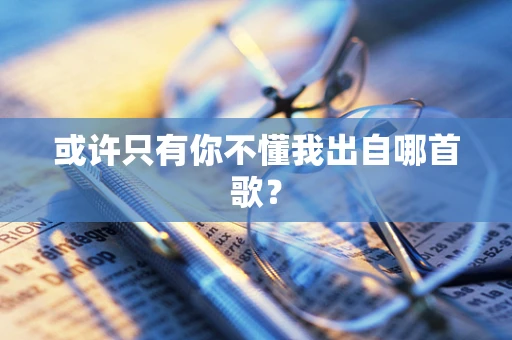 或许只有你不懂我出自哪首歌？