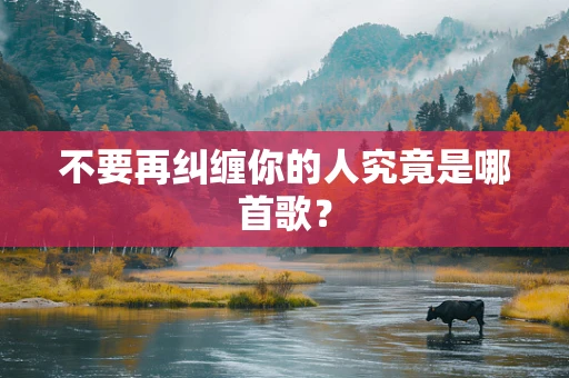 不要再纠缠你的人究竟是哪首歌？