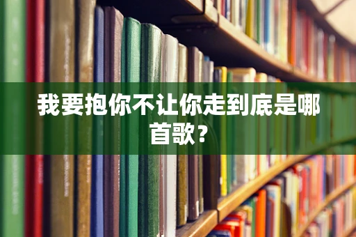 我要抱你不让你走到底是哪首歌？