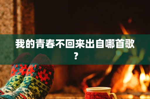 我的青春不回来出自哪首歌？