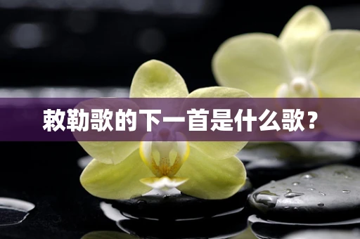 敕勒歌的下一首是什么歌？