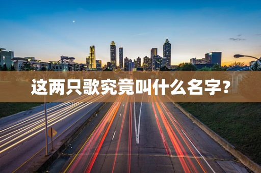 这两只歌究竟叫什么名字？
