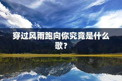 穿过风雨跑向你究竟是什么歌？