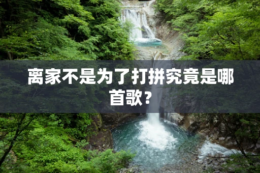 离家不是为了打拼究竟是哪首歌？