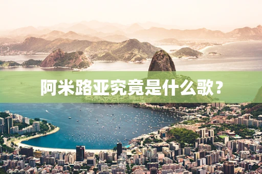 阿米路亚究竟是什么歌？
