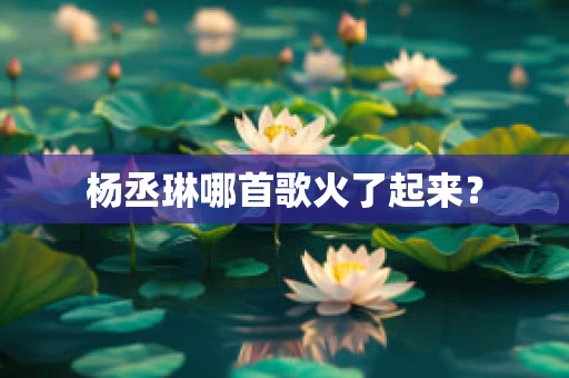杨丞琳哪首歌火了起来？