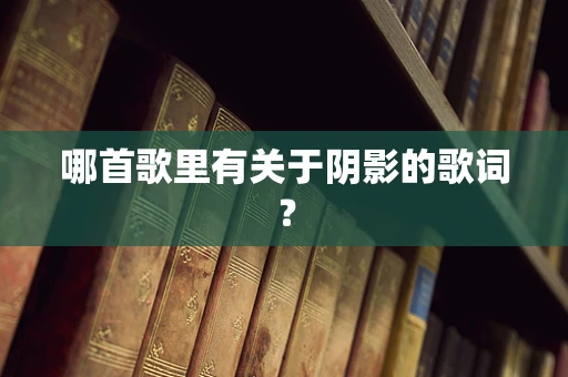 哪首歌里有关于阴影的歌词？