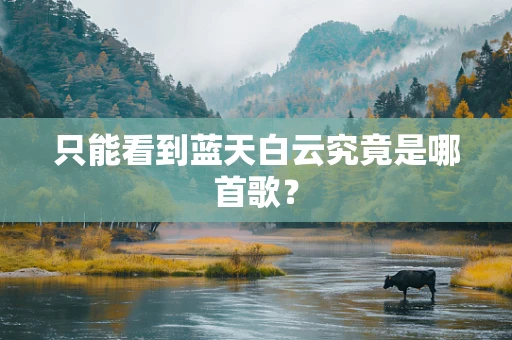 只能看到蓝天白云究竟是哪首歌？