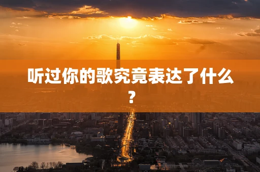 听过你的歌究竟表达了什么？