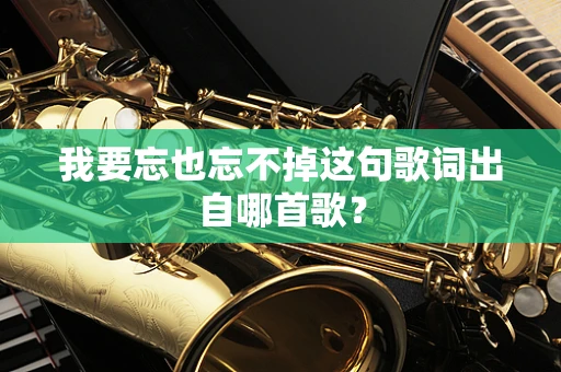 我要忘也忘不掉这句歌词出自哪首歌？
