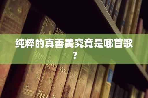 纯粹的真善美究竟是哪首歌？