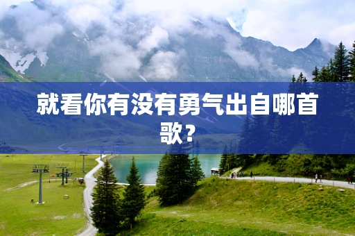 就看你有没有勇气出自哪首歌？