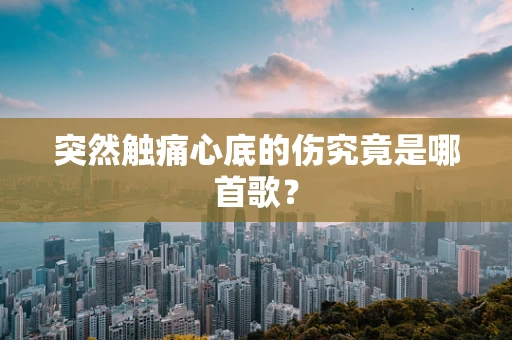 突然触痛心底的伤究竟是哪首歌？