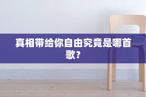 真相带给你自由究竟是哪首歌？