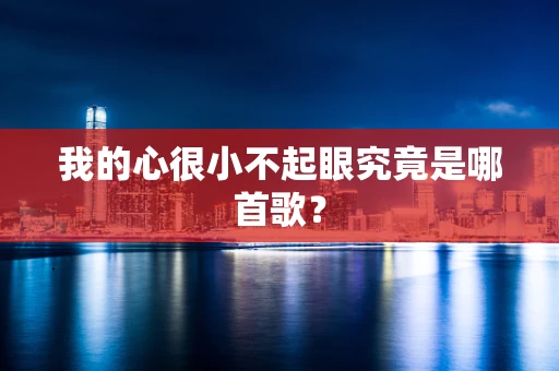 我的心很小不起眼究竟是哪首歌？