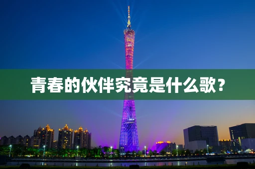 青春的伙伴究竟是什么歌？