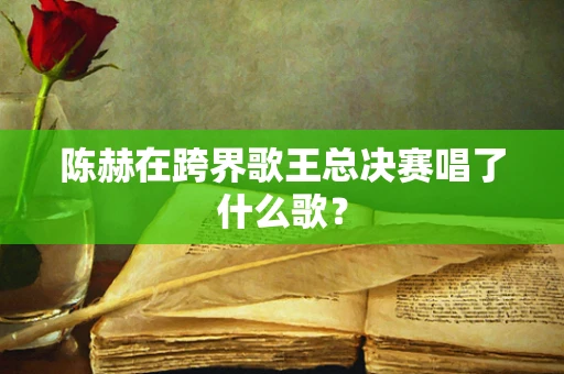 陈赫在跨界歌王总决赛唱了什么歌？