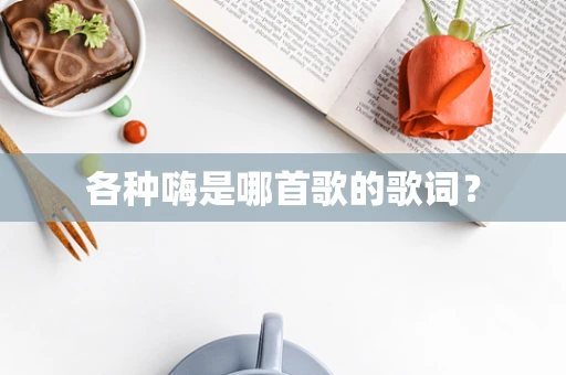 各种嗨是哪首歌的歌词？