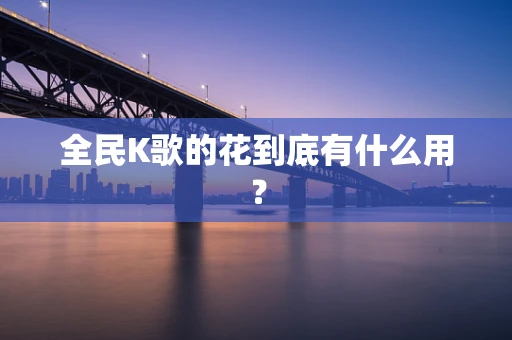 全民K歌的花到底有什么用？