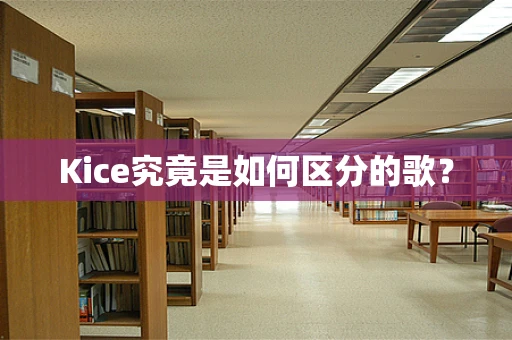 Kice究竟是如何区分的歌？
