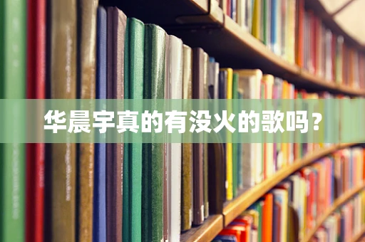 华晨宇真的有没火的歌吗？