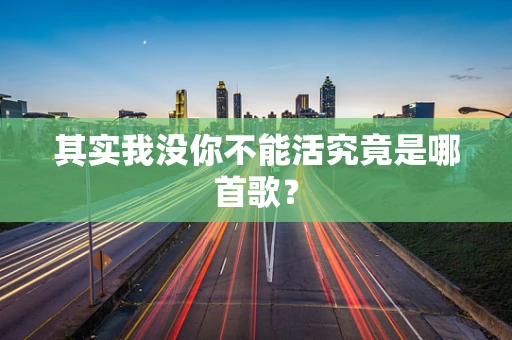 其实我没你不能活究竟是哪首歌？
