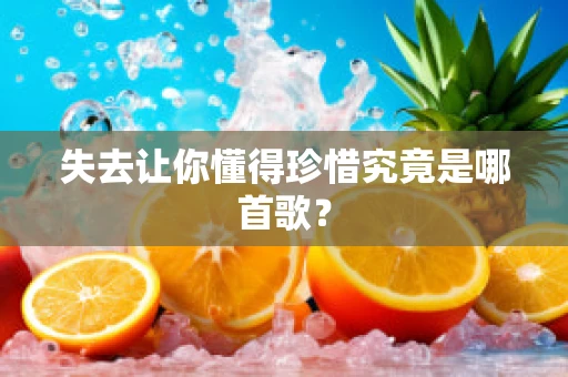失去让你懂得珍惜究竟是哪首歌？
