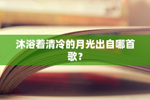 沐浴着清冷的月光出自哪首歌？