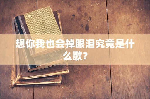 想你我也会掉眼泪究竟是什么歌？