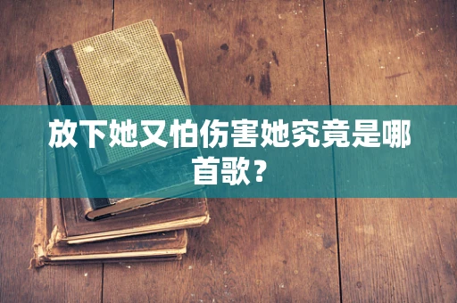 放下她又怕伤害她究竟是哪首歌？