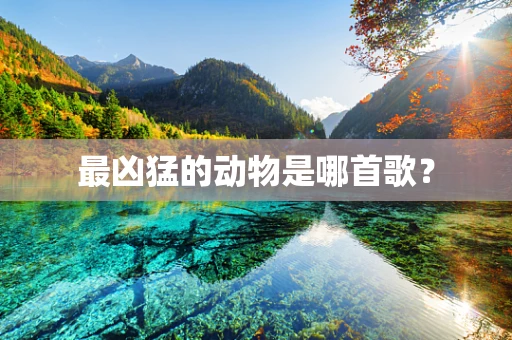 最凶猛的动物是哪首歌？