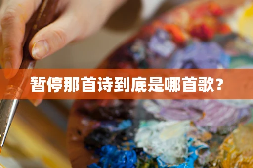 暂停那首诗到底是哪首歌？