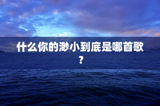什么你的渺小到底是哪首歌？