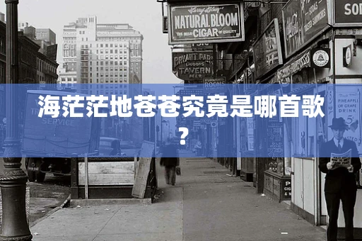 海茫茫地苍苍究竟是哪首歌？