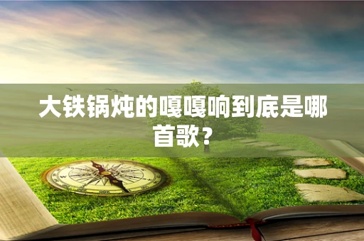 大铁锅炖的嘎嘎响到底是哪首歌？